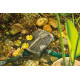 AQUAMAX ECO PREMIUM 5000 OASE