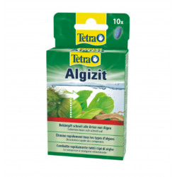 TETRA ALGIZIT