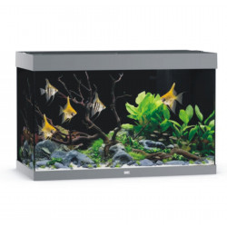 AQUARIUM JUWEL RIO 290 LED