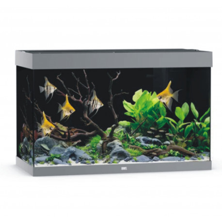 AQUARIUM JUWEL RIO 290 LED
