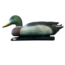 COLVERT MALE