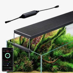 CHIHIROS WRGB II PRO - 60CM rampe led premium avec controlleur