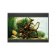 AQUARIUM STYLELINE 125 NOIR - OASE
