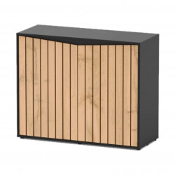 MEUBLE SPLENDID AQUATLANTIS 100X40X83CM - 2 TONS