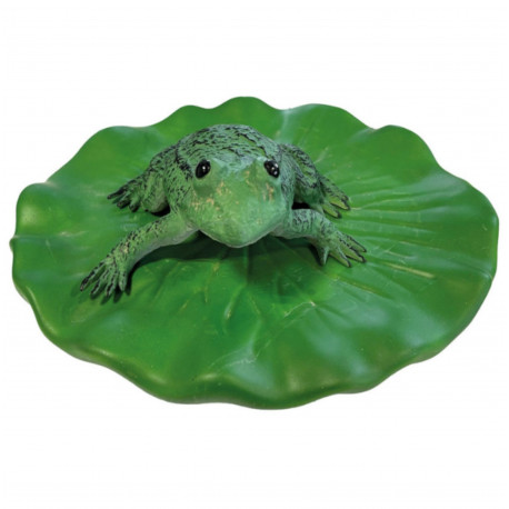 GRENOUILLE FLOTTANTE SUR NENUPHAR