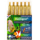 BIO DIGEST 6 ampoules