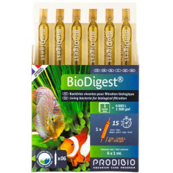 BIO DIGEST 6 ampoules