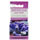 PREIS EASY GLUE PURPLE NANO- 2X30GR