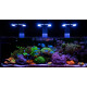 MAXSPECT ETHEREAL INFINITE E8-150w