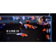 TWINSTAR LIGHT 45B III - Eclairage led pour aquarium d'eau douce