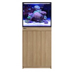 RED SEA REEFER 170