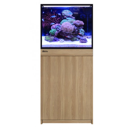RED SEA REEFER 170