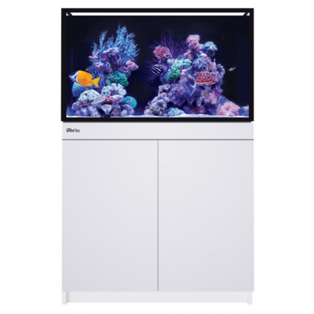 RED SEA REEF FRAME 250 - Aquarium récifal de 250L dispo en 3 couleurs