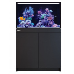 RED SEA REEF FRAME 250 - Aquarium récifal de 250L dispo en 3 couleurs