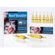 REEF BOOSTER 12 ampoules