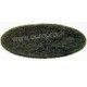 MOUSSE CHARBON EHEIM POUR 2213 ref.2628130