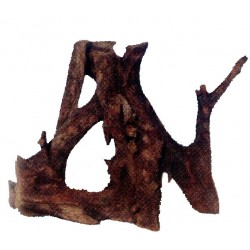 BOIS DE MANGROVE 40cm