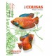 GUIDE AQUAMAG LES COLISAS