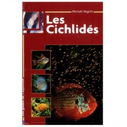 LES CICHLIDES