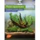 NANO AQUARIUMS 