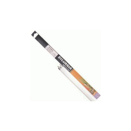 REPTISTAR 18w