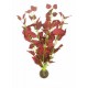 EASY PLANTS SUPERFISH 30cm ref A4070345