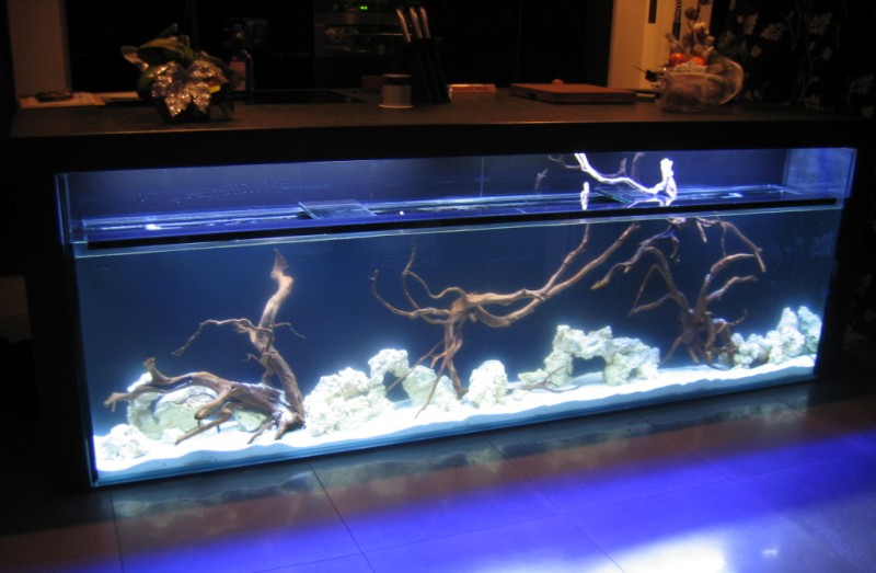 aquarium 260cm cuisinne