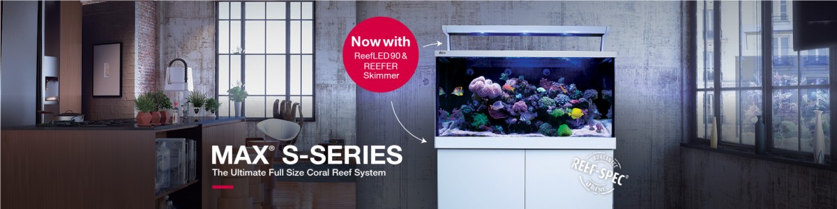RED SEA REEFER MAX S LED