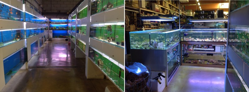 vente aquarium