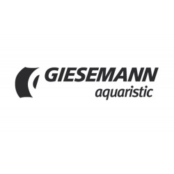 GIESEMANN