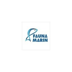 Fauna Marin