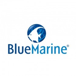 BLUE MARINE